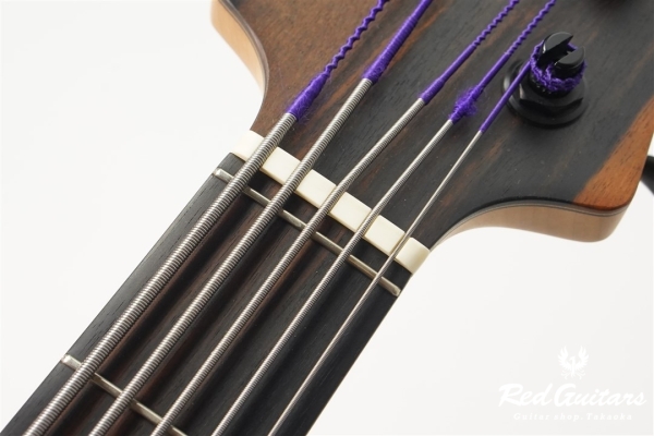 Platinum Series Single-Cut , e-volution 5 - Macassar Ebony